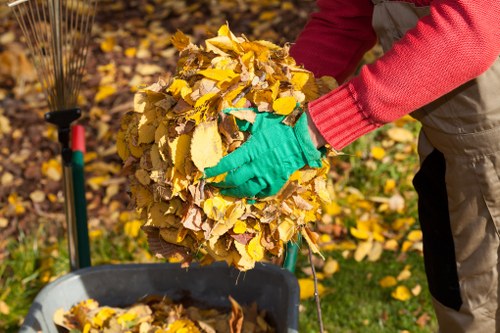 Household skip placement in Crouch End residential area