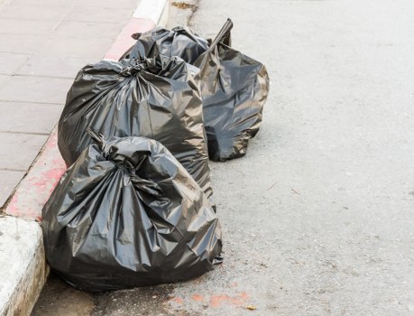 Environmental practices during site clearance
