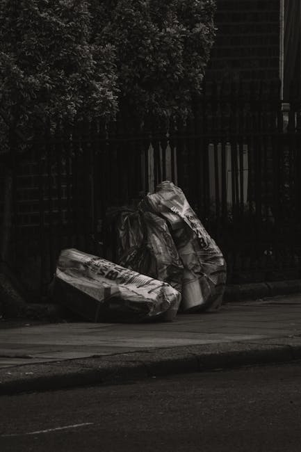 In the foreground, there are multiple piles of assorted waste materials placed directly on a paved driveway, including large pieces of flat cardboard and thick plastic sheeting, with some items folded